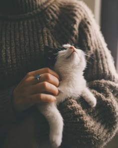 files/c0252a03e456ad4c56c9d77e3f6f61f4.jpg
