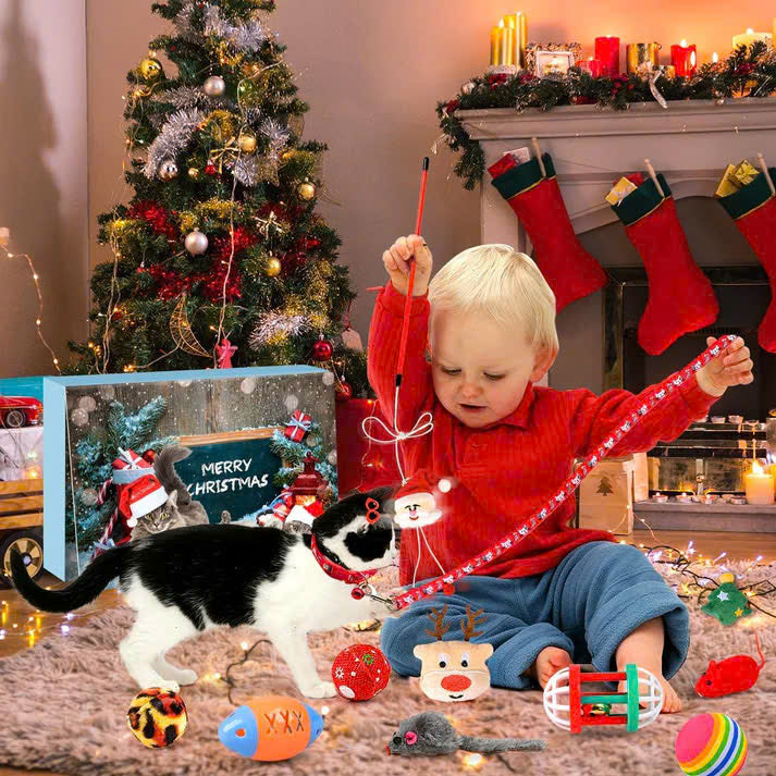 Meowmas Advent