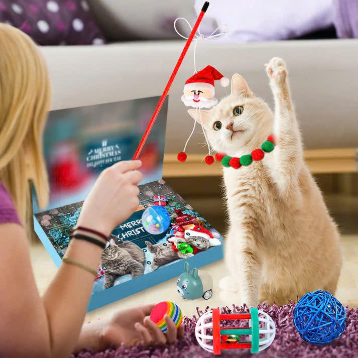 Meowmas Advent